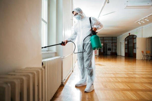 Trusted Woodbridge, VA Pest Control Experts